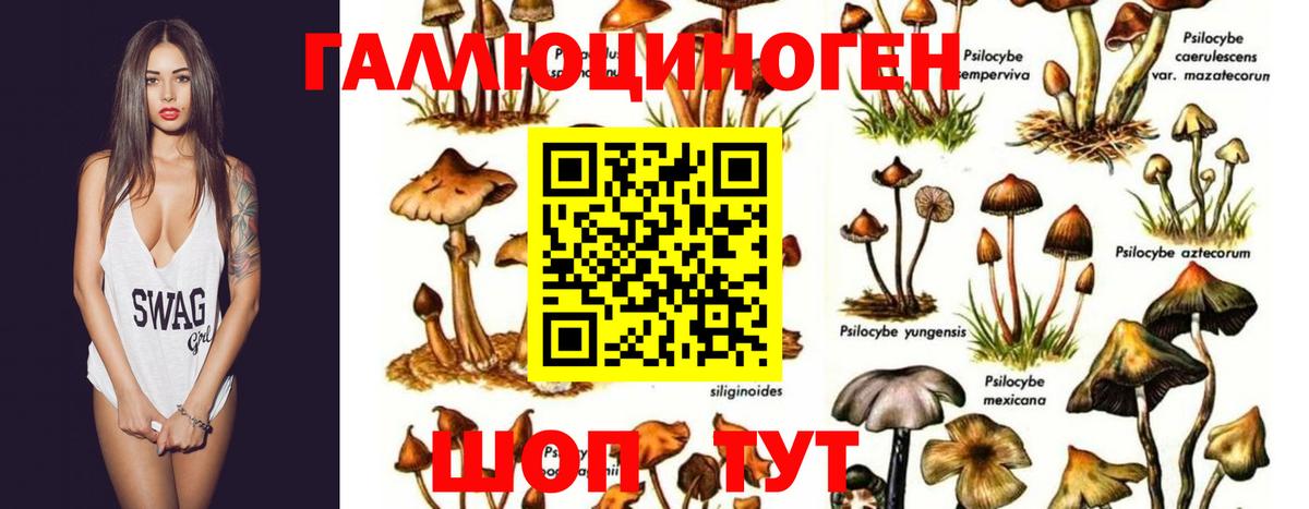 Ярцево  Псилоцибиновые грибы MAGIC MUSHROOMS  Вход с VPN  Галлюциногенные грибы мухоморы 